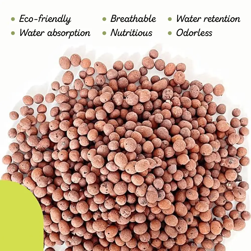 PGN Clay Pebbles for Hydroponic Growing - 10 Liters (4 Pounds) - Image 4
