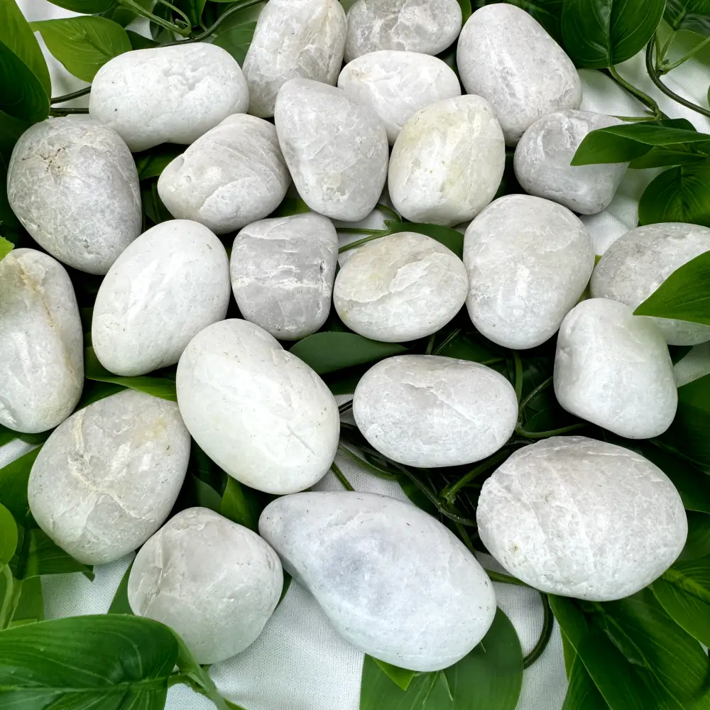 PGN White River Rocks for Plants - 15 Pounds - Image 3